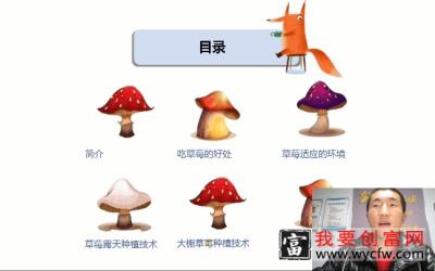 草莓种植技术，简介（一）