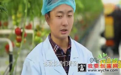 探秘智能玻璃大棚温室栽培，种植技术让人大开眼界