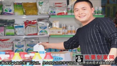 蚧壳虫消灭介壳虫的种植技术教学——爱华植保