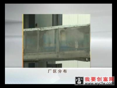 金针菇的栽培种植技术金针菇种植教程 高产金针菇栽培技术