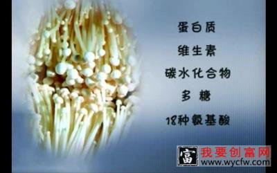 金针菇种植技术 专业科学种植管理技术及病虫害防治图说