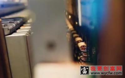 北美：新型植生带种植技术！比传统育苗快6倍、密度高3倍、节省劳力80%，适合多种蔬菜