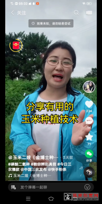 分享有用的玉米种植技术