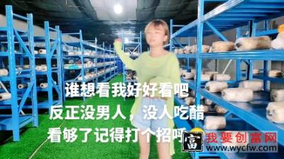 金耳菌种植，三农，农村种植技术