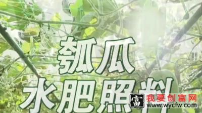 瓜果种植技术