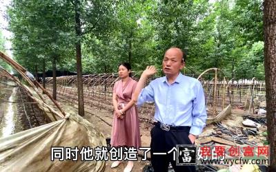 羊肚菌种植技术，盘点林下种植的优势，周不修老师