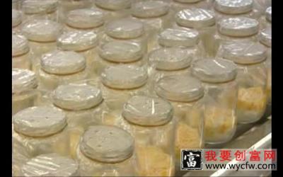 虫草的栽培种植技术 如何栽培虫草教程 疾病防治 疾病防治