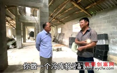 羊肚菌种植技术，制种时间该如何把握，周不修老师学员回访